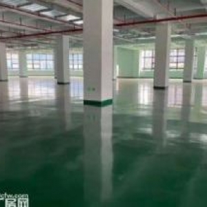 凤岗红本电商仓库招租 单层面积4000平 适冻库 电商物流仓