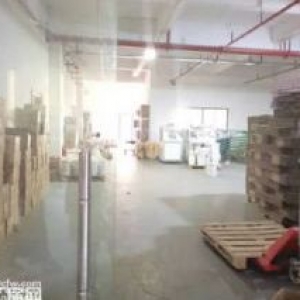 凤岗油甘埔1300平厂房出租 电子组装̳