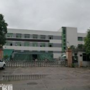 茶山高大上标准独院出租