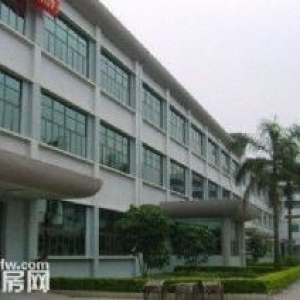 望牛墩新出超靓独门独院标准2层厂房带豪华办公室出租