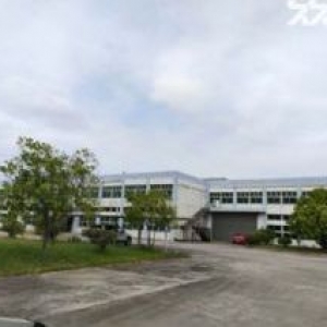 桥头超大空地原房东标准独院出租