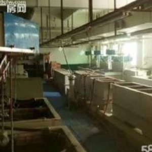 出租东莞长安新电镀厂房：电镀、氧化，堡黑、电泳、镀金、蚀刻、
