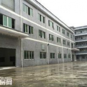 中堂镇独院标准三层厂房总共4000平方出租