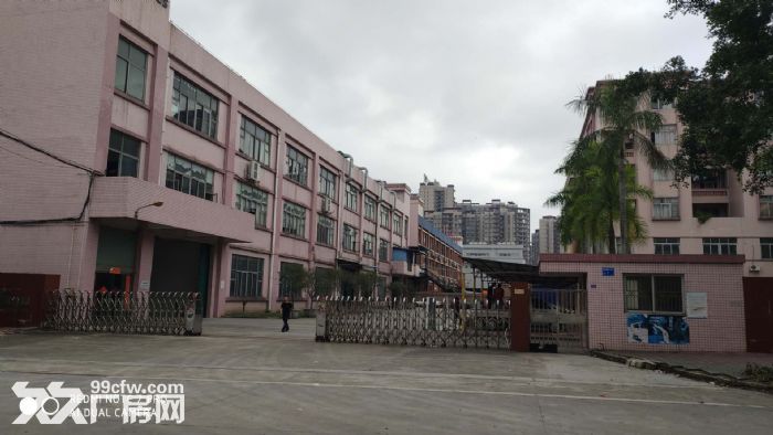 原房东独门独院3层7600平方出租