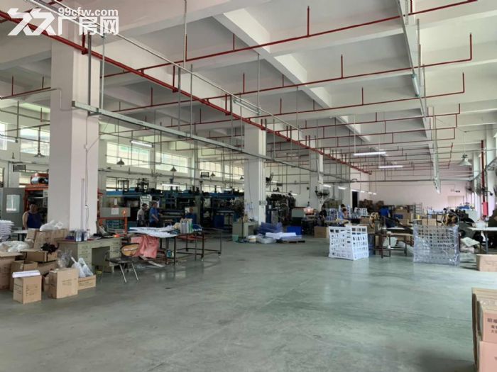 新出原房东独门独院4200平方-图2