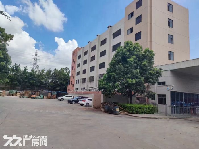 凤岗与深圳交界处 新空出一楼6米高标准厂房出租1300平-图4