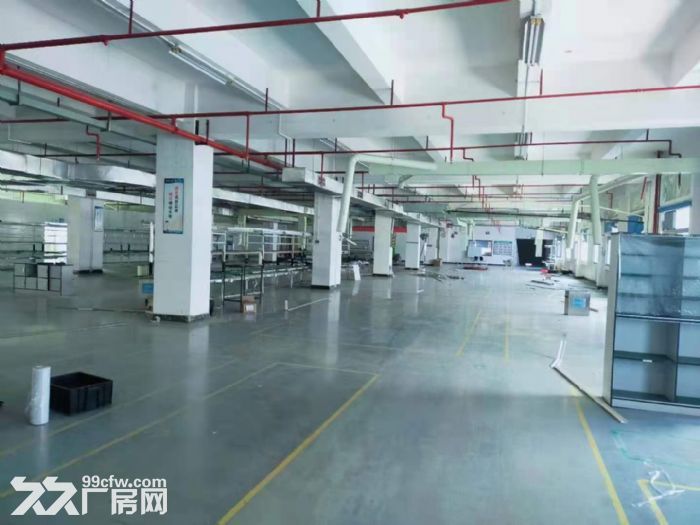 横沥成熟工业园区红本标准独院出租-图3