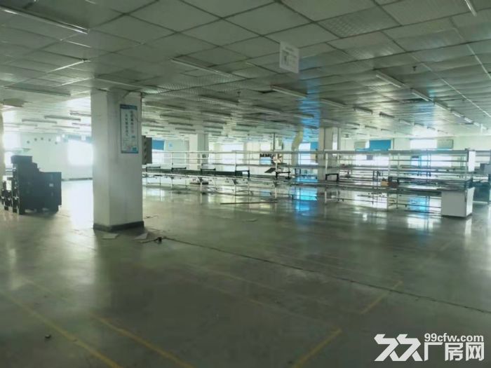 横沥成熟工业园区红本标准独院出租-图4