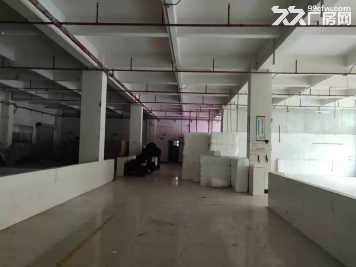 原房东直租 寮步镇凫山村标准厂房一楼1360平-图2