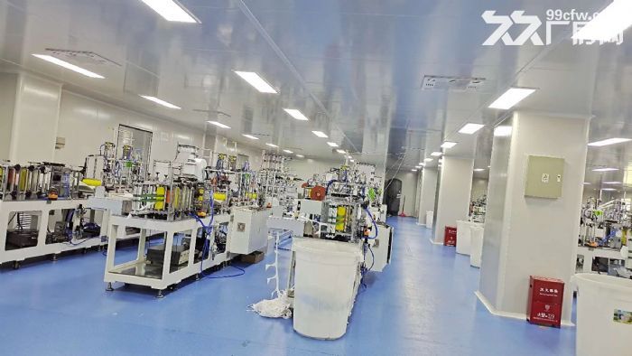 寮步镇东部快速附近原房东村委厂房1−3层10000平方出租-图3