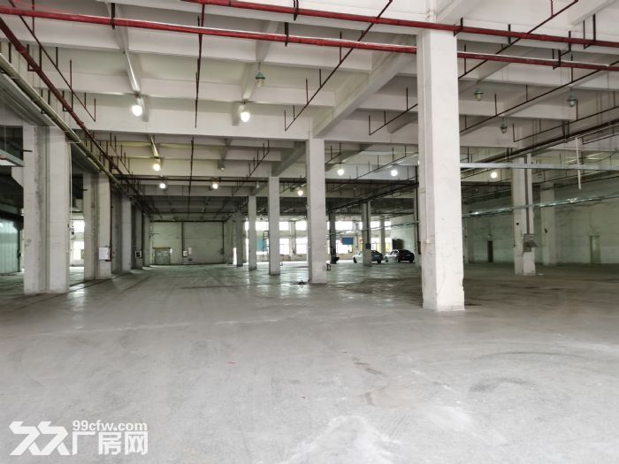 大朗镇1.5万花园式红本独门独院厂房招租-图3