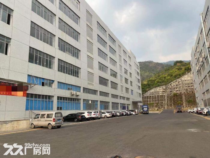 清溪新出标准一楼5600平厂房出租 7米高 带现成卸货平台-图4