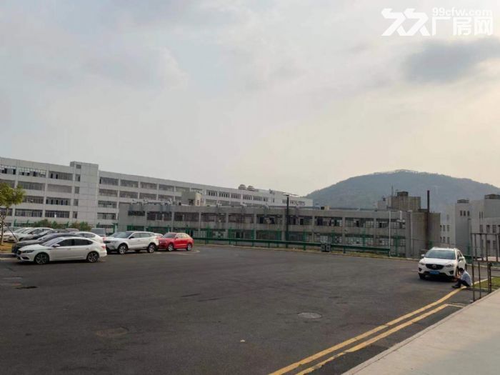 清溪新出标准一楼5600平厂房出租 7米高 带现成卸货平台-图5