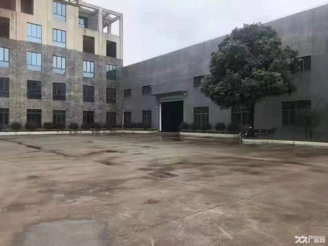 11米高，现成航车，大朗单一层钢构厂房出租实际面积5000平-图5