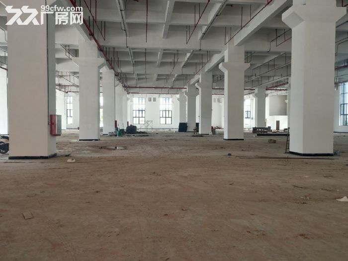 大岭山镇原房东3.5万高端大气独门独院厂房招租-图5