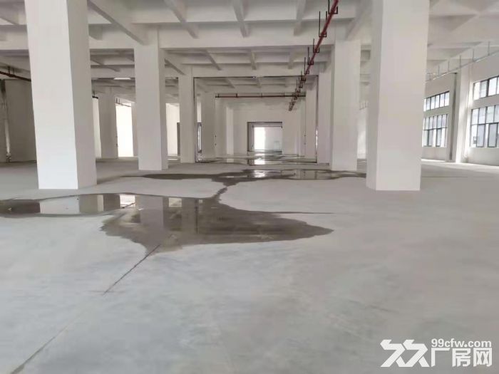 寮步原房东国有双证重工业标准厂房出租-图3