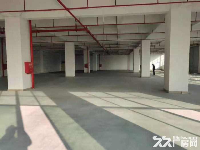 形象好 凤岗金凤凰楼上带消防喷淋，重工业厂房出租2200平方-图4