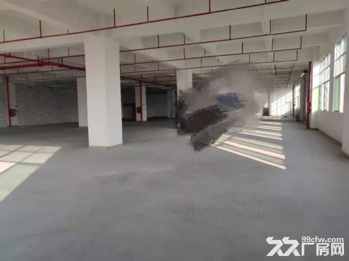 形象好 凤岗金凤凰楼上带消防喷淋，重工业厂房出租2200平方-图3