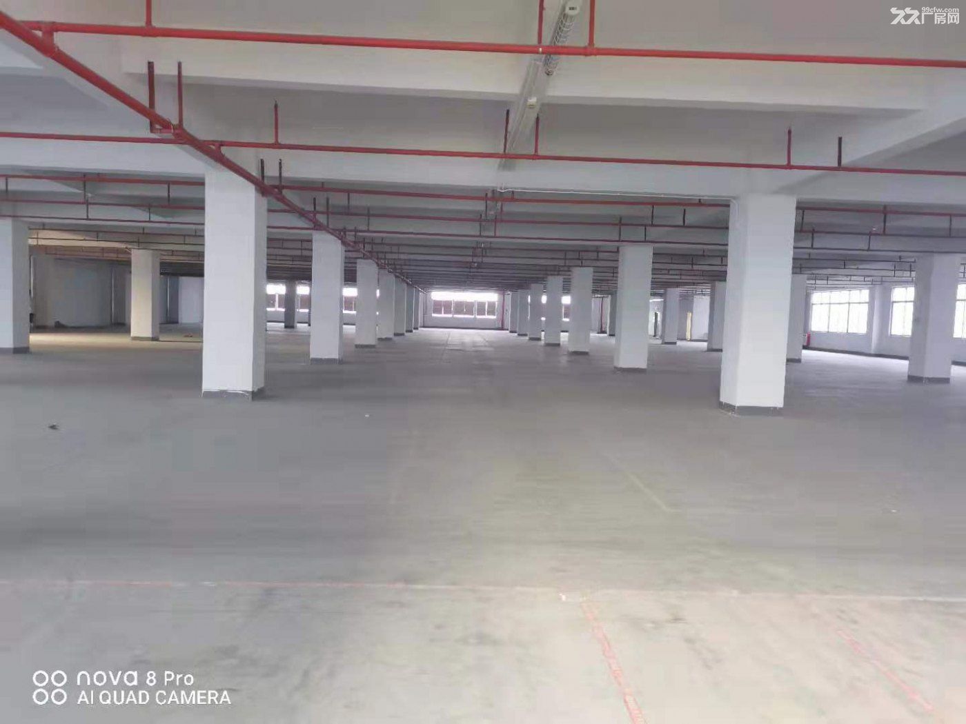 带卸货平台 空地大 东深二线边上 凤岗电商仓库出租4000平