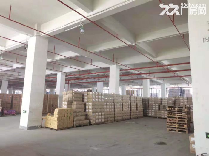 空地大，带卸货平台 凤岗浸校塘标准一楼厂房出租5060平-图3