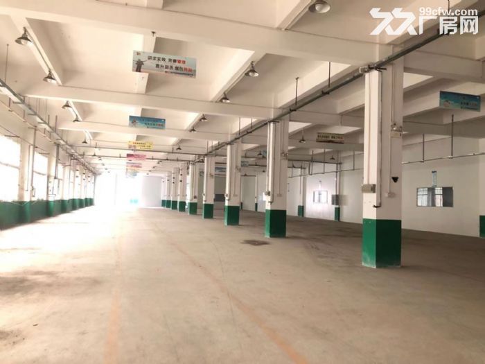 寮步镇成熟工业区独院5200平米招租-图3