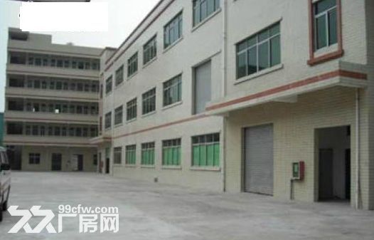 望牛墩新出超靓独门独院标准2层厂房带豪华办公室出租-图2