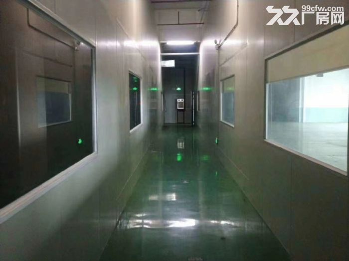 大岭山靠近松山湖4.5万平高薪企业独门独院厂房招租-图6